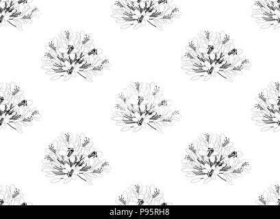 Agapanthus Seamless on White Background. Vector Illustration. Stock Vector