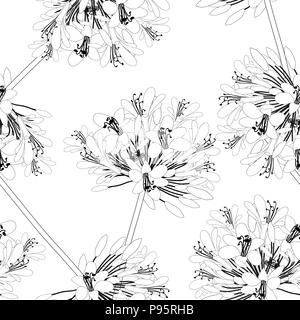 Agapanthus Seamless on White Background. Vector Illustration. Stock Vector