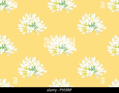 Snow White Agapanthus on Yellow Background. Vector Illustration. Stock Vector