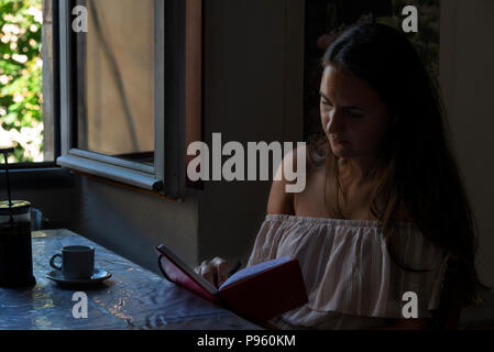 Young woman alone in French cafe, with coffee plunger and notebook, illuminated by window lighting. Stock Photo