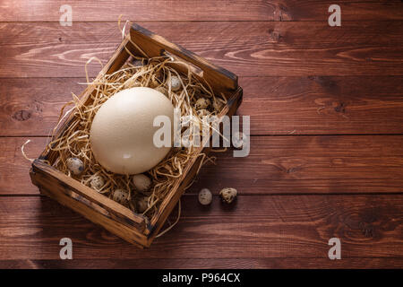 Big ostrich egg on straw surround by quail eggs, copyspace. Stock Photo