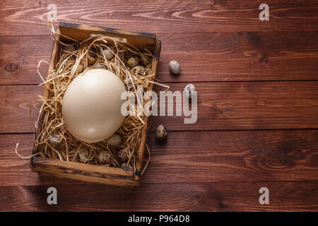 Big ostrich egg on straw surround by quail eggs, copyspace. Stock Photo