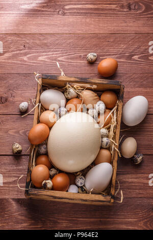 Ostrich, goose, hen and quail eggs in a wooden box, copyspace Stock Photo