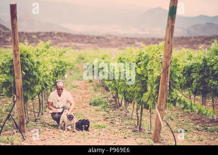 vintage image with caucasian lady sitting in the vineyard with her two best friends dog pug. leisure activity outdoor for group in happiness. love for Stock Photo