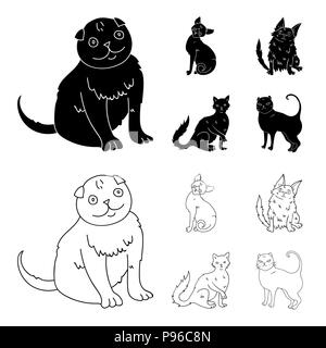 Turkish Angora, British longhair and other species. Cat breeds set collection icons in black,outline style vector symbol stock illustration . Stock Vector