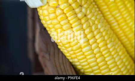 Close up photo of Grains ripe corn Stock Photo