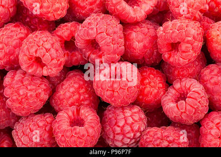 raspberry background texture Stock Photo