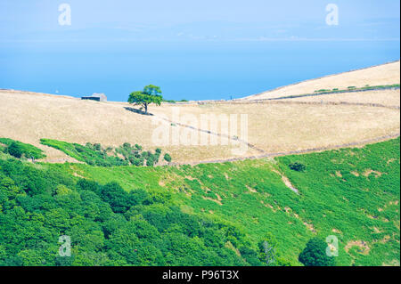 Exmoor, East Lyn river, Lynmouth, Devon Stock Photo