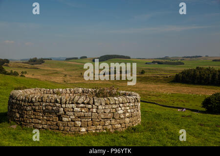 Hadrians Wall am Housestead Roman Fort Stock Photo