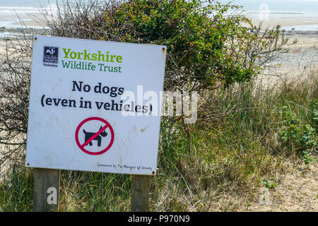 No dogs sign, Spurn Head, Spurn Point, sand spit, near Hull East Yorkshire, UK Stock Photo