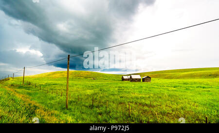 Tin Roofed Barns in the wide open Grass Lands of the Nicola Valley, along Highway 5A between Merritt and Kamloops, beautiful British Columbia, Canada. Stock Photo