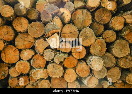 Wood logs background. Pile of cut tree wood as abstract natural background. Stock Photo