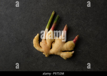 ginger on dark background Stock Photo