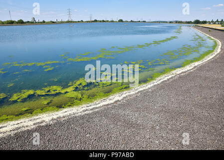 Walthamstow Wetlands, London, UK. 15th July 2018. A hot and sunny day the reservoirs at Walthamstow Wetlands. Credit: Matthew Chattle/Alamy Live News Stock Photo