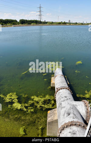 Walthamstow Wetlands, London, UK. 15th July 2018. A hot and sunny day the reservoirs at Walthamstow Wetlands. Credit: Matthew Chattle/Alamy Live News Stock Photo