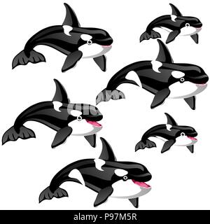 The set of stages of a growing killer whale or orca isolated on a white background. Vector illustration. Stock Vector