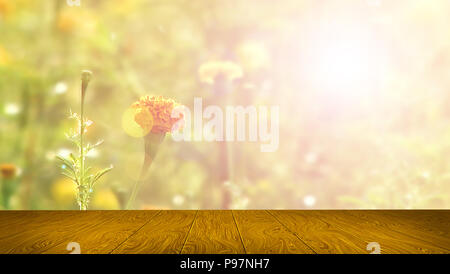 Yellow Flower in the green grass, nature background Stock Photo