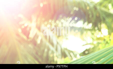 abstract background, green palm leaf on tropical beach with sun light, Stock Photo