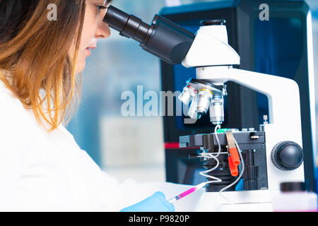 technician girl with microfluidic device LOC in microbiological lab Stock Photo