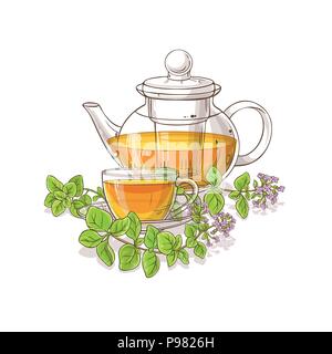 oregano tea in teapot illustration on white background Stock Vector