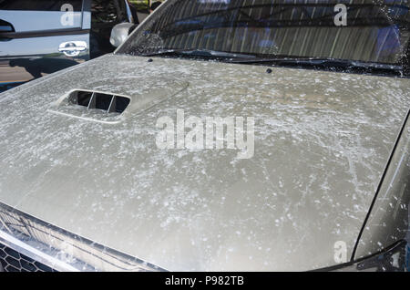 Impurities on the surface of the car. Stock Photo
