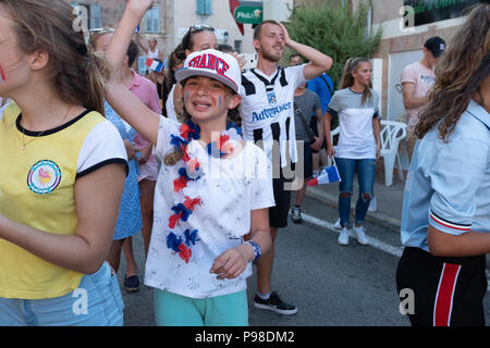 French People Celebrating Football World Cup Stock Photo