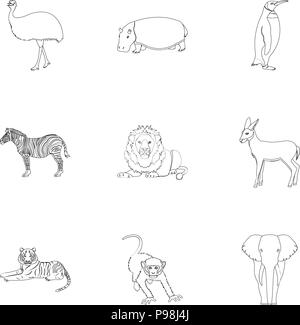 Ostrich emu, crocodile, giraffe, tiger, penguin and other wild animals ...