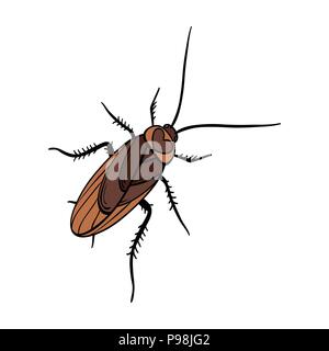 A mustachioed cockroach. Arthropod insect, cockroach single icon in cartoon style vector symbol stock isometric illustration . Stock Vector