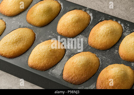 Traditional fresh baked French madeleines on a pan Stock Photo