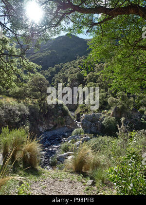 The view at nature reserve 'Reserva Florofaunistica de Rincón del Este', in Merlo, San Luis, Argentina. Stock Photo