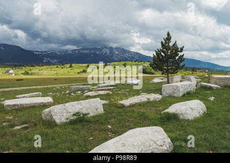 The white Dugo Polje necropolis with over 130 white stećak (tombstones) in Blidinje, Bosnia and Herzegovina Stock Photo