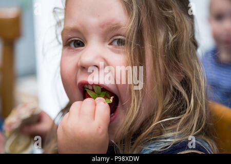 Four year old girl eating a strawberry, close up Stock Photo
