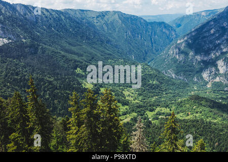 The view from Ćurevac mountain looking out over the Tara River Canyon, Durmitor National Park, Montenegro Stock Photo