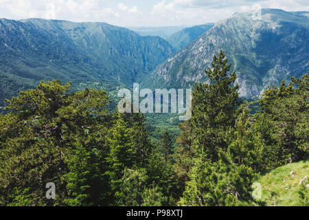 The view from Ćurevac mountain looking out over the Tara River Canyon, Durmitor National Park, Montenegro Stock Photo