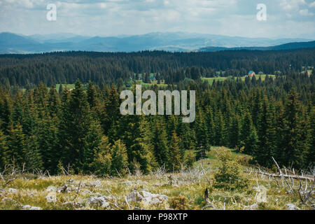 The view from Ćurevac mountain looking out over the Tara River Canyon, Durmitor National Park, Montenegro Stock Photo