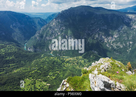 The view from Ćurevac mountain looking out over the Tara River Canyon, Durmitor National Park, Montenegro Stock Photo