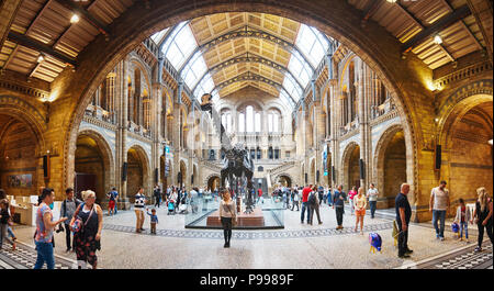 LONDON - AUGUST 16, 2015. People visit Natural History Museum in London, UK. Stock Photo