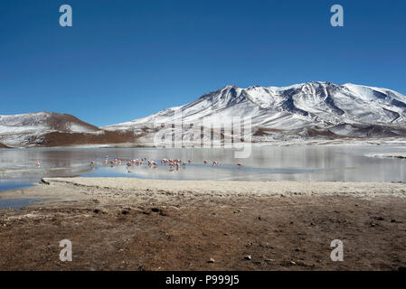 The wintery landscape of Laguna Cañapa (Cañapa salt lake) in the Potosí Department, Bolivia. Stock Photo