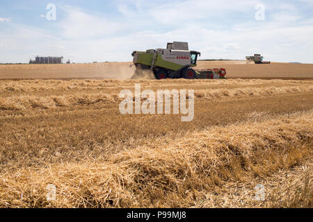 A combine harvester works in a field cutting wheat Stock Photo