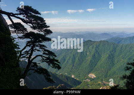 View of foothills of Huansgan over the tzpical pine from the top of Celestial capital peak, eastern China, Anhui. Stock Photo