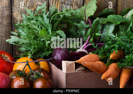 Fresh organic homegrown colofrul vegetables on wooden rustic table, harvest still life Stock Photo