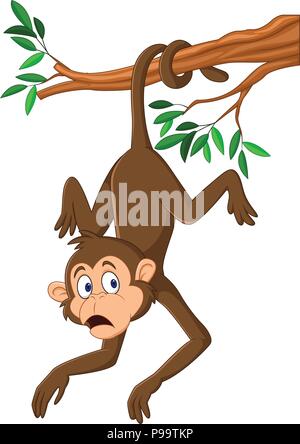 Cartoon Monkey Tree Stock Illustrations – 6,844 Cartoon Monkey Tree Stock  Illustrations, Vectors & Clipart - Dreamstime