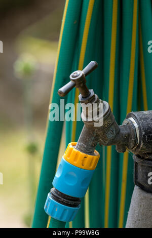 a vintage brass outside tap with a hosepipe attached Stock Photo