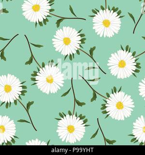 White Aster, Daisy on Green Background. Vector Illustration. Stock Vector
