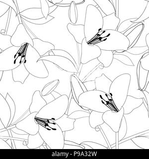 Lilium candidum, the Madonna lily on White Background. Vector Illustration Stock Vector