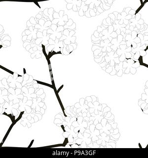 Pink Trumpet Flower on White Background. Vector Illustration. Stock Vector