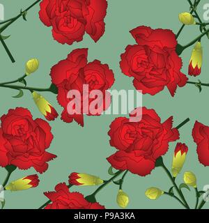 Dianthus caryophyllus - Red Carnation Flower on Green Background. Vector Illustration. Stock Vector