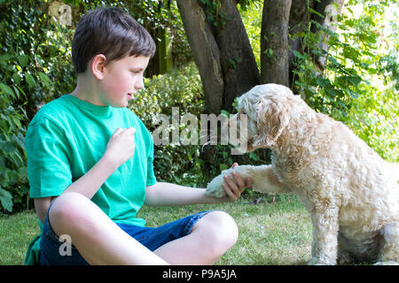 Boy Teaching Pet Dog Tricks In Garden At Home Stock Photo
