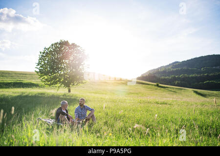 An adult hipster son with senior father sitting on the grass in sunny nature. Stock Photo