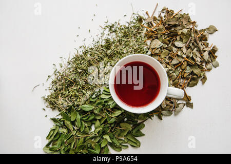 Fresh fragrant and healthy herbal tea in a glass or mug on a white wooden surface. Next to it lie various dried herbs for making tea. Healthy product. Stock Photo